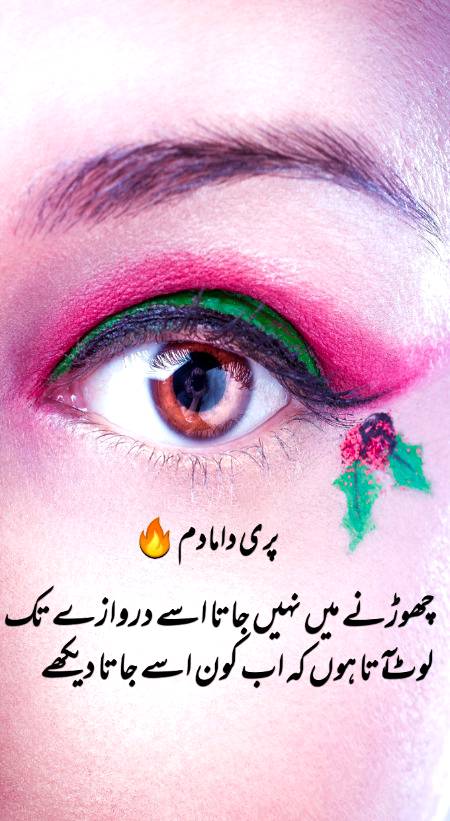Urdu poetry