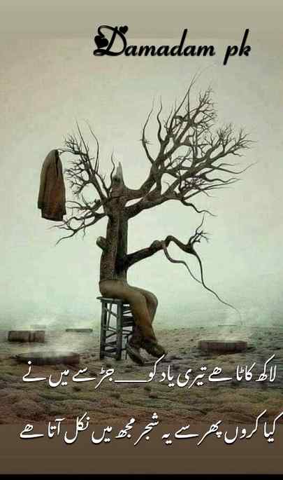 Urdu poetry