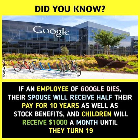 Did you Know