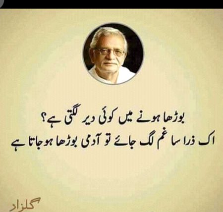 Hmm bilkul😐