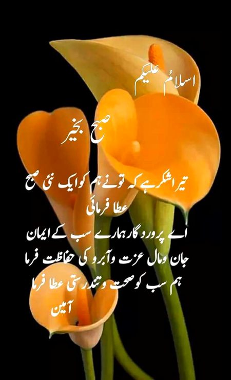 Sub ko Salam