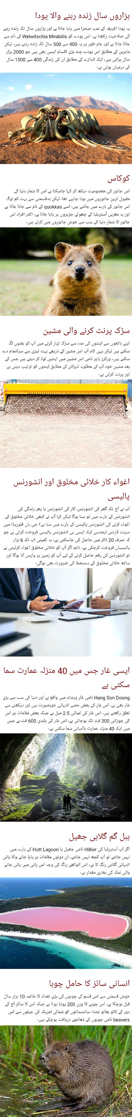 ایسی 7 نا قابل یقین چیزیں جو حقیقت میں اپنا وجود رکھتی ہیں__بعض اوقات حقیقت افسانوں کہانیوں سے زیادہ عجیب ہوتی ہے دوسری جانب یہ حقیقت ہمیں کسی فسانے کی مانند لگتی ہے ہم کسی جادو یا جل پریوں کے بارے میں بات نہیں کر رہے بلکہ ہم اس دنیا میں پائی جانے والی چند عجیب و غریب اور ناقابل یقین چیزوں کے بارے میں بات کر رہے ہیں جو حقیقت میں اپنا وجود رکھتی ہیں