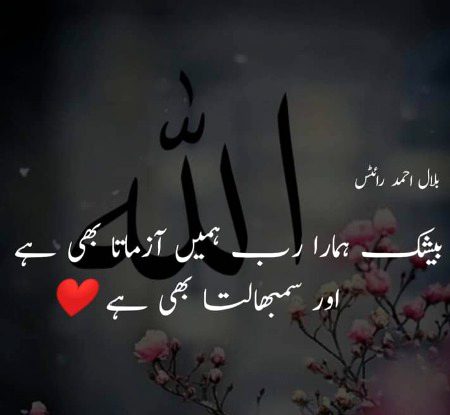 Beshak💯🔥❤