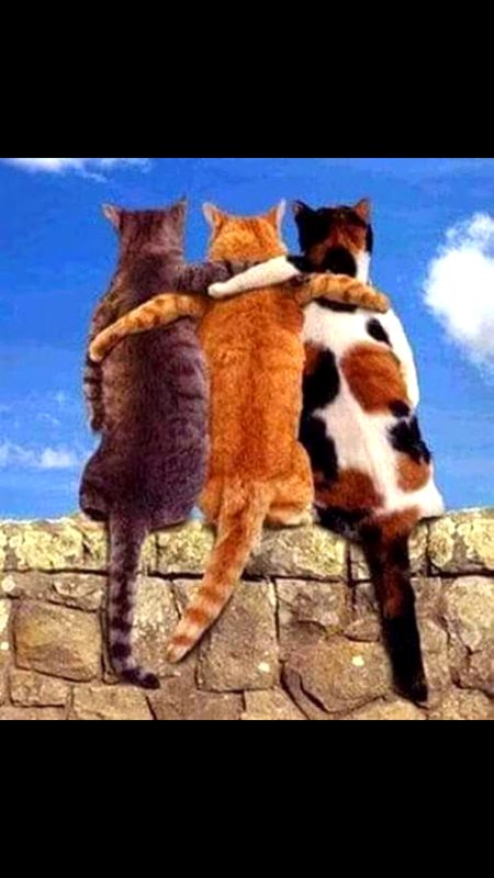 ھم رکھتے ہیں تعلق تو نبھاتے ہیں عمر بھر 👇👉 
ھم سے بدلے نہیں جاتے یار بھی اور پیار بھی