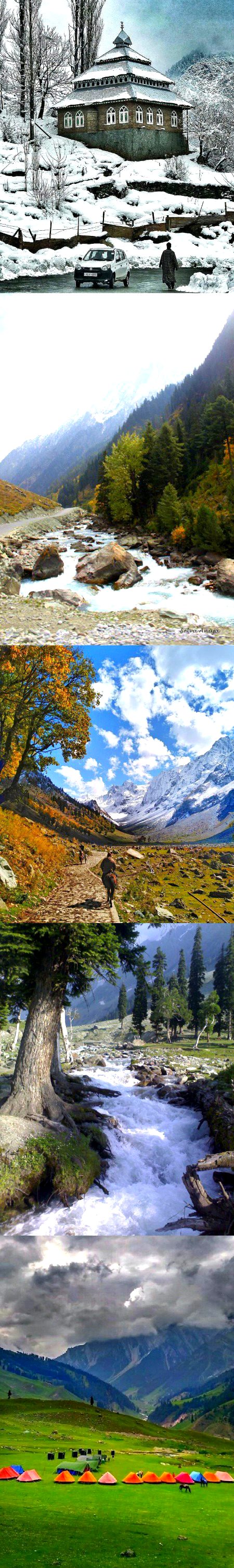 Beautiful Nature image