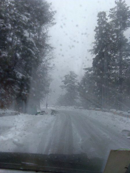 Nathia gali 😍😋