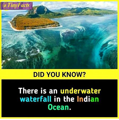 Did you Know