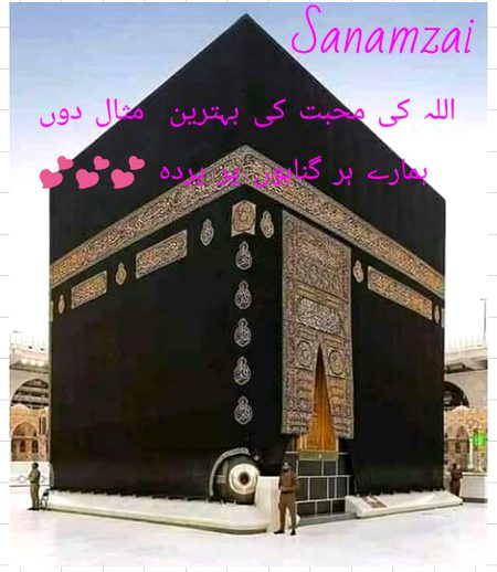 💕💕💕💖💖💖💕💕💕💕