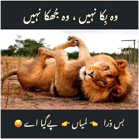 Wo bika nai juka ni srf lmya py gya