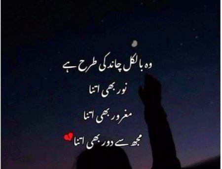 Chand ke trah hi wo