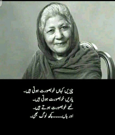 Han log bi😐