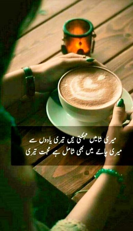 Tea lover hooria