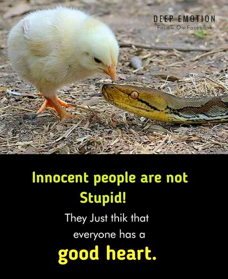 Is this true🙄🙄🙄