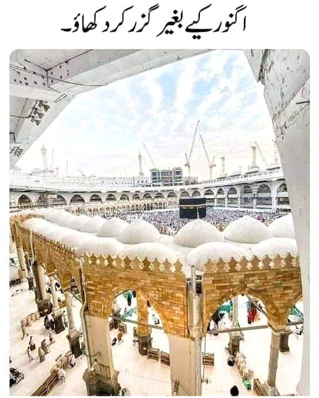 Say MashaAllah 😍😍😍💖💖💖💗💗