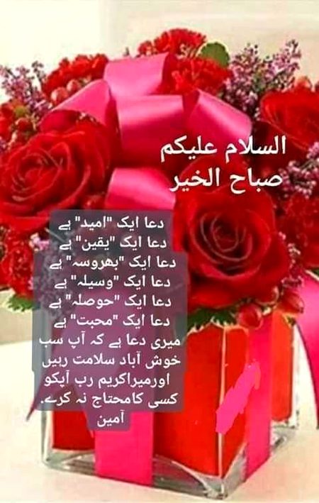 👍😥😍😘🤗😇🤲🤲🤲🤲🤝🤲🤲