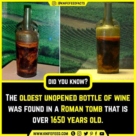 Did you Know