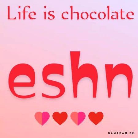 Life is chocolate 🍫