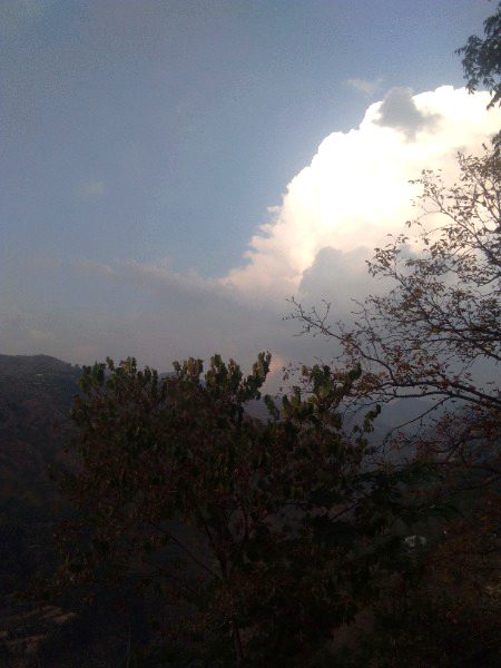 Evening time 💭💨