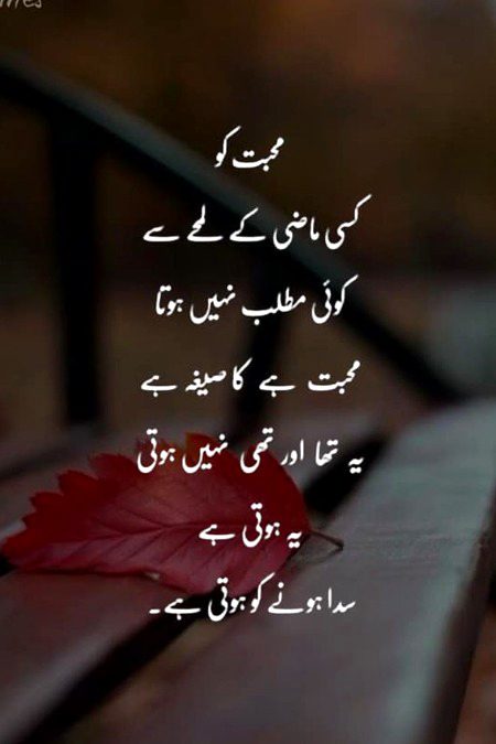 Beautiful lines