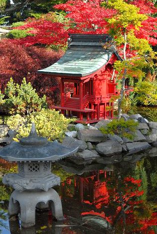 Amazing Place