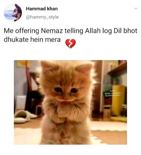 Bewafa log 💔💔💔
