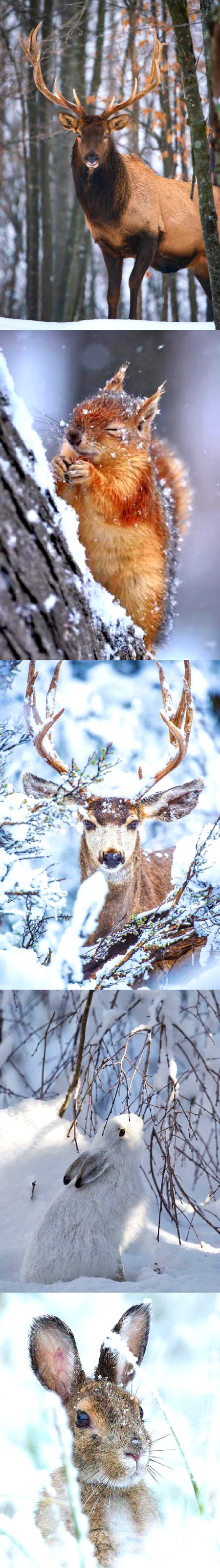 Beautiful Nature image