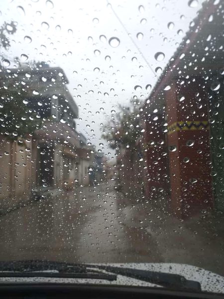 Rainy days should be spent at home with a cup of tea and a good book.🙂👀