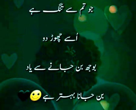 Mjhy girty hwy Patton ne skhaya.bojh bn jao gy
 tu apny bhi gira den gy💔