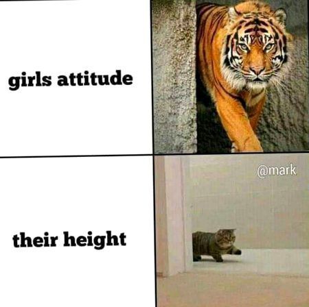Memes & Satire image