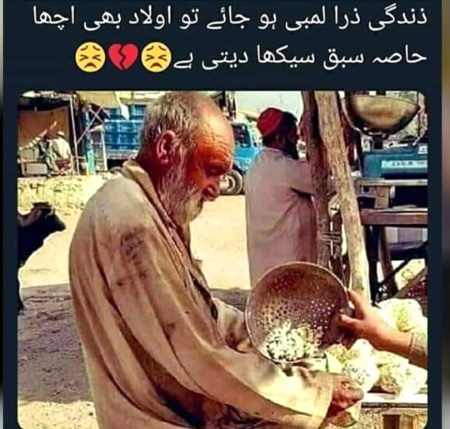 afsoos hota hai ese logo ko dek kr