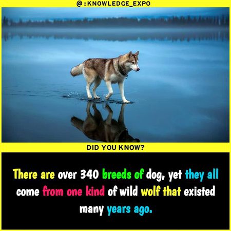 Did You Know
