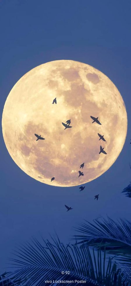 Night lights source..