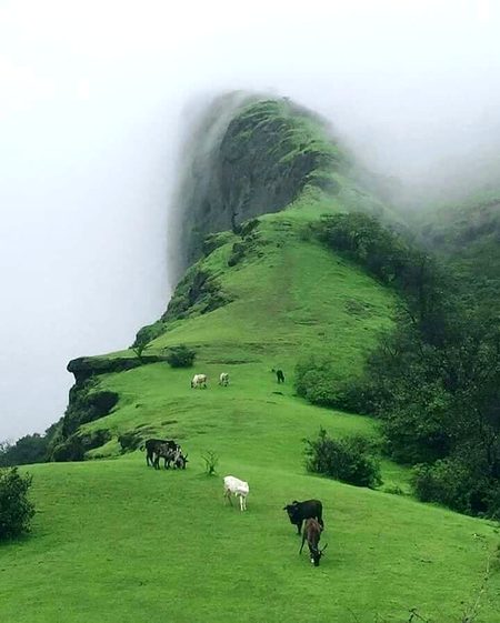 میرا دوسرا عشق بارش☔☔
پہلا ..... تو تم جانتی ہو ناں💞💞