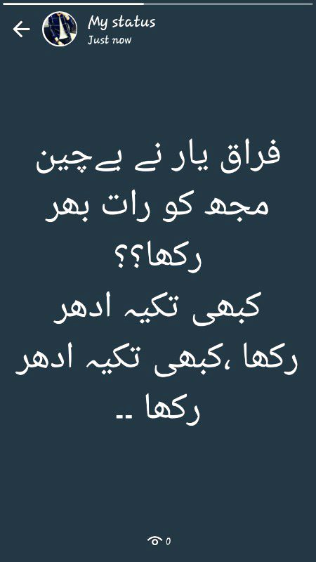 امیر مینائی