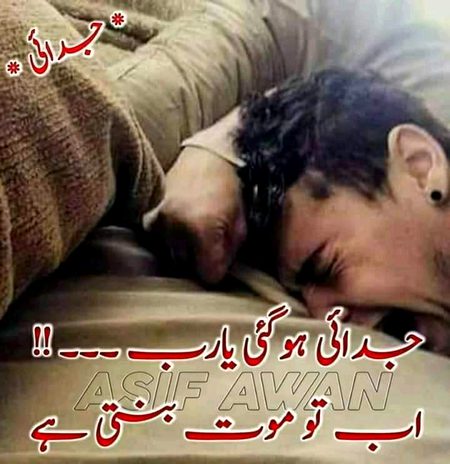 KOIE 😭HY😭😭G😭😭😭