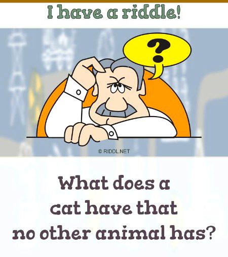 Riddles & Puzzles image