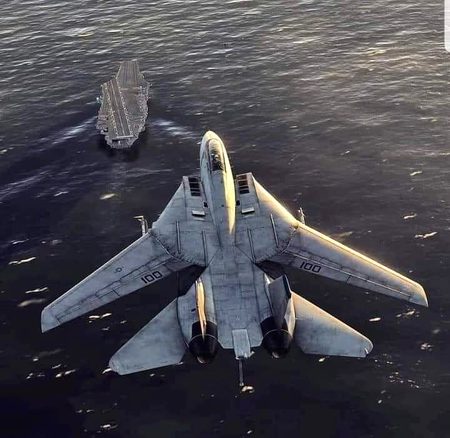 F14 tomcat