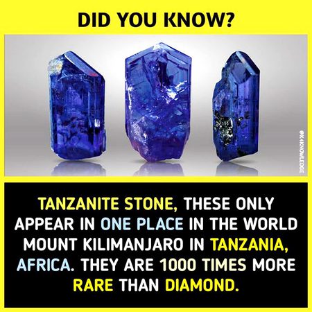 Did you Know