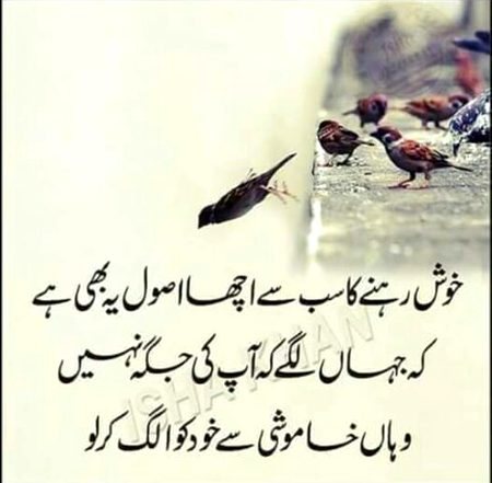 💕💕💕 $$$ 💕💕💕