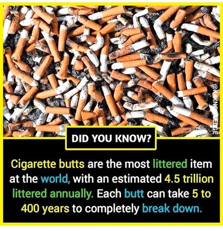 Did you Know