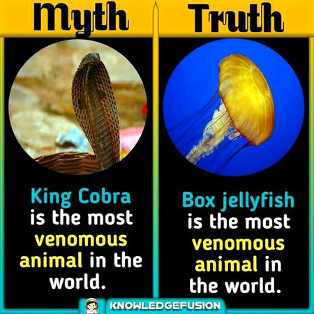 Did you Know