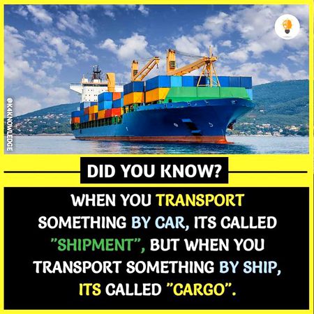Did you Know