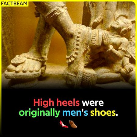 Did you Know