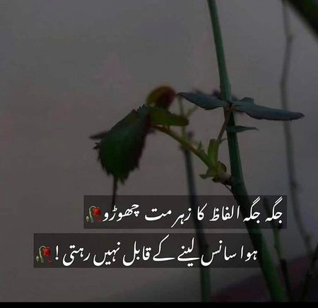 💔Syed Zada🔥