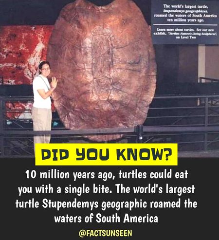 Did you Know