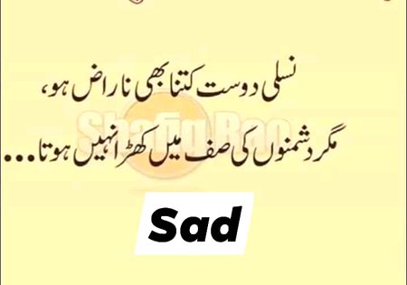 Bilqul Sahi I think ajqal k Dost Dost hain hi Nahi Sad boy