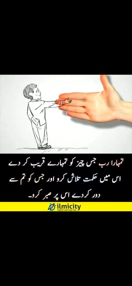 بلکل درست 💯🔥✨🌹🌷🥀