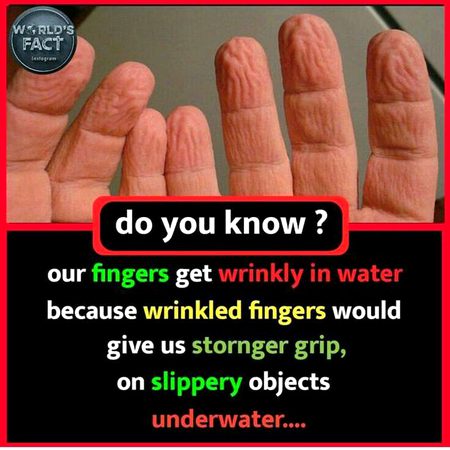 Did you Know
