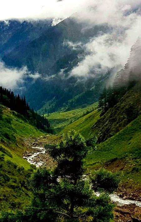 Beautiful Nature image