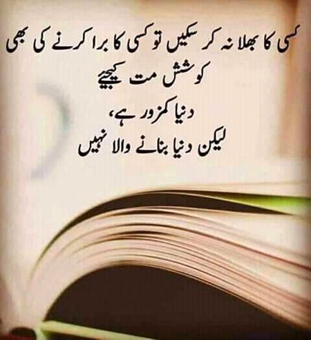 💕💕💕💕💖💖💖💕💕💕💕